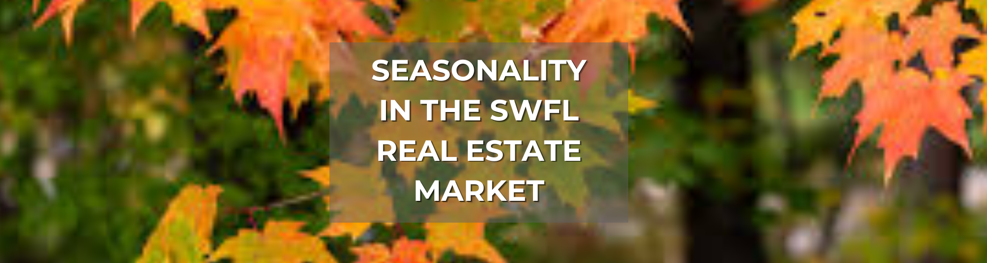 Cover photo of the blog post about the seasonality of SWFL real estate market
